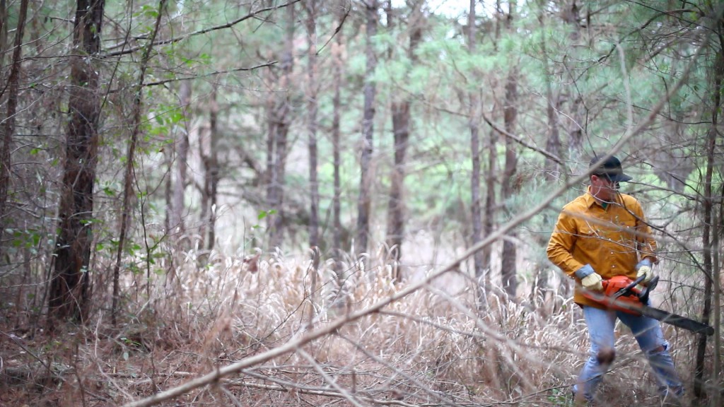 Blog Shot 3